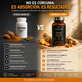 AMNESS CORE+ | Cúrcuma y Probióticos Premium