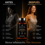 AMNESS CORE+ | Cúrcuma y Probióticos Premium