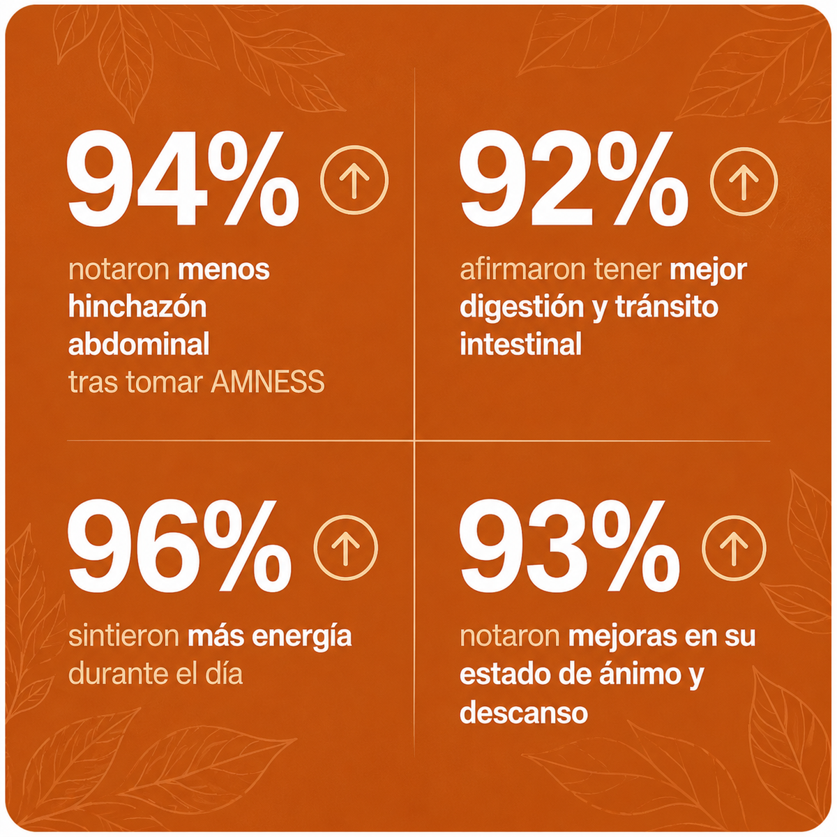 AMNESS CORE+ | Cúrcuma y Probióticos Premium