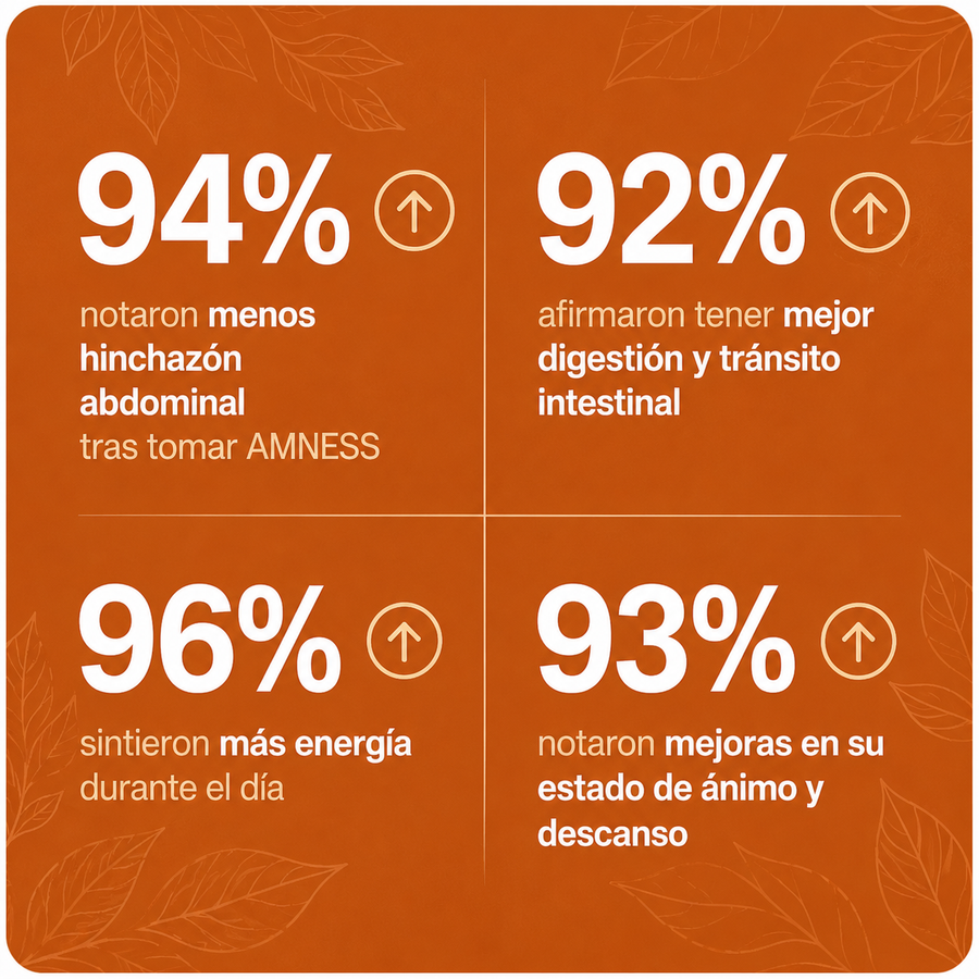 AMNESS CORE+ | Cúrcuma y Probióticos Premium